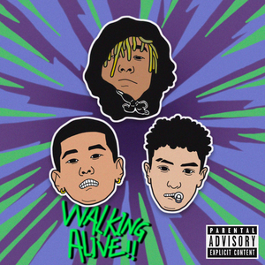 zjzjzjzjzjzjz中国免费
